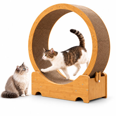Roue d'exercice pour chat, tapis roulant en bois avec verrouillage, roulettes silencieuses, idéale pour les chats d'intérieur, en carton ondulé double face, couleur naturelle.