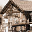 Print on Canvas-24051558