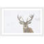 Parvez Taj - Single Picture Frame Print-19701349