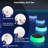 6.29'' Solar Powered Integrated LED Accent