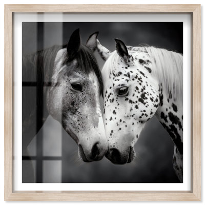 Décoration murale «Horse Love BW II» par Notoriart, cadre blond, cadre blond, 16 x 16