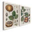 Exotic Botanique II, reproduction encadrée de qualité supérieure - prête à être accrochée-1806892960-1806791704-1806791776