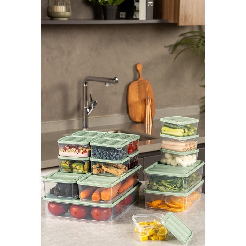 17-Piece Mint Plastic Storage Box Set | Includes 2 x 4.3 x 11.8 in (1650 ml), 2 x 9.1 x 5.9 in (1750 ml), 12 x 3.5 x 4.1 in (350 ml), 1 x 9.1 x 11.6 in (3500 ml) | Dishwasher Safe, Durable & Versatile for Organizing Home & Office