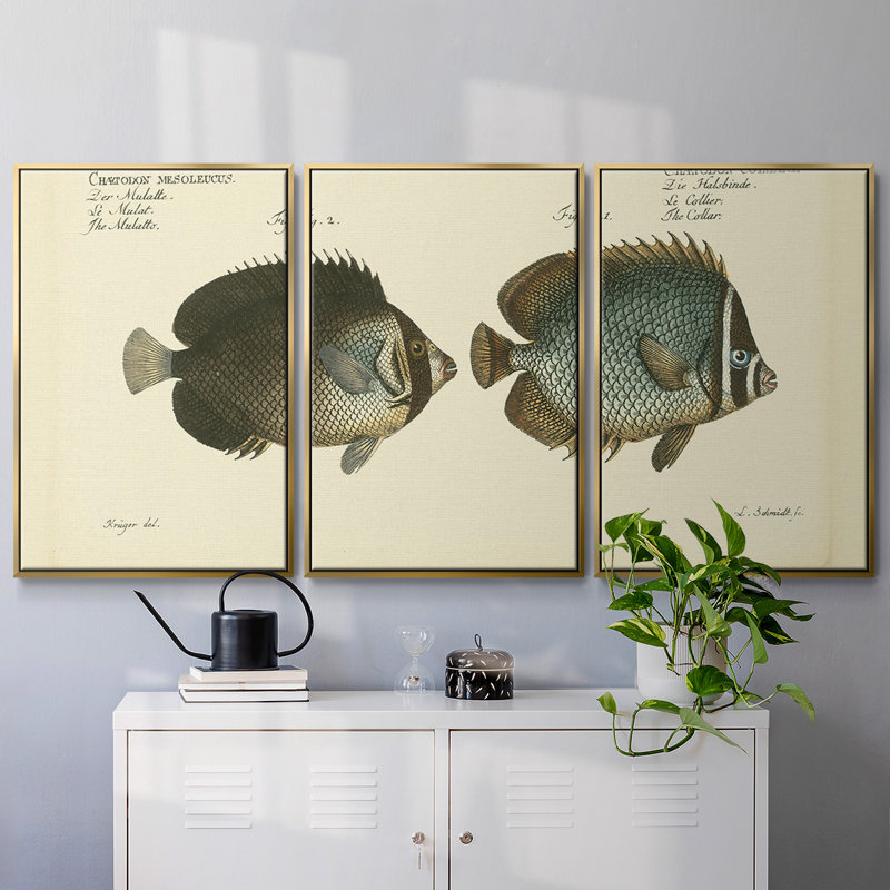 Bloch Antique Fish V - Toile encadrée multi-pièces, H 40 po x l 78 po x P 2 po, Or