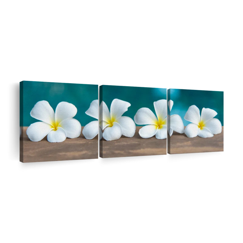 Fleur de frangipanier blanc sur toile, reproduction de 3 pièces, H 8 po x l 26 po x P 1,25 po