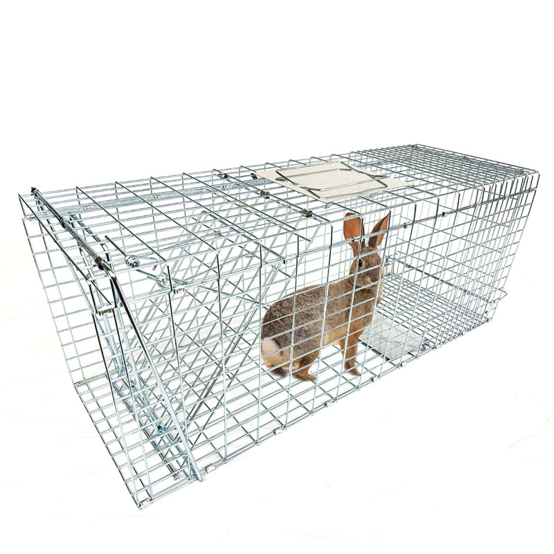Cage à animal 32 "avec couvercle Fox Trap