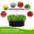 EAGLE PEAK Hydroponics Growing Kit Light