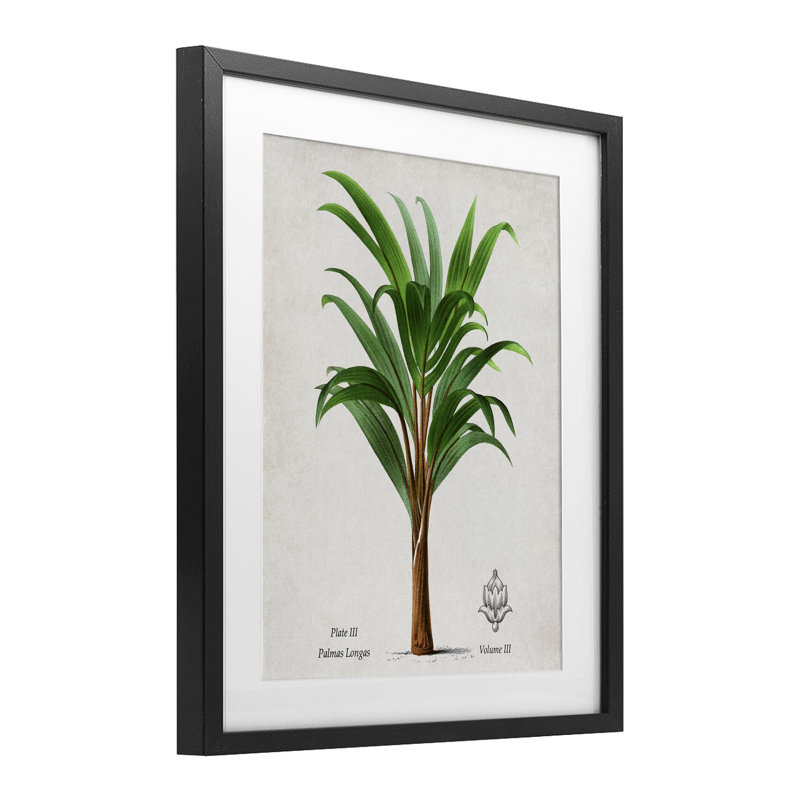 «Palmas Longas Palm Tree», reproduction encadrée sous verre, conception de Val Rhodes, H 21 po x l 17 po, Cadre noir minuit