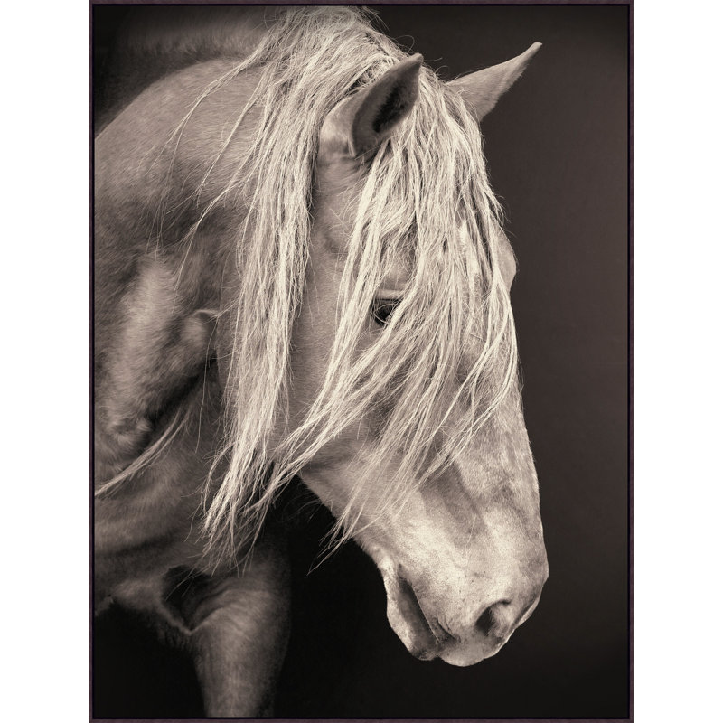 " Steel Stallion "