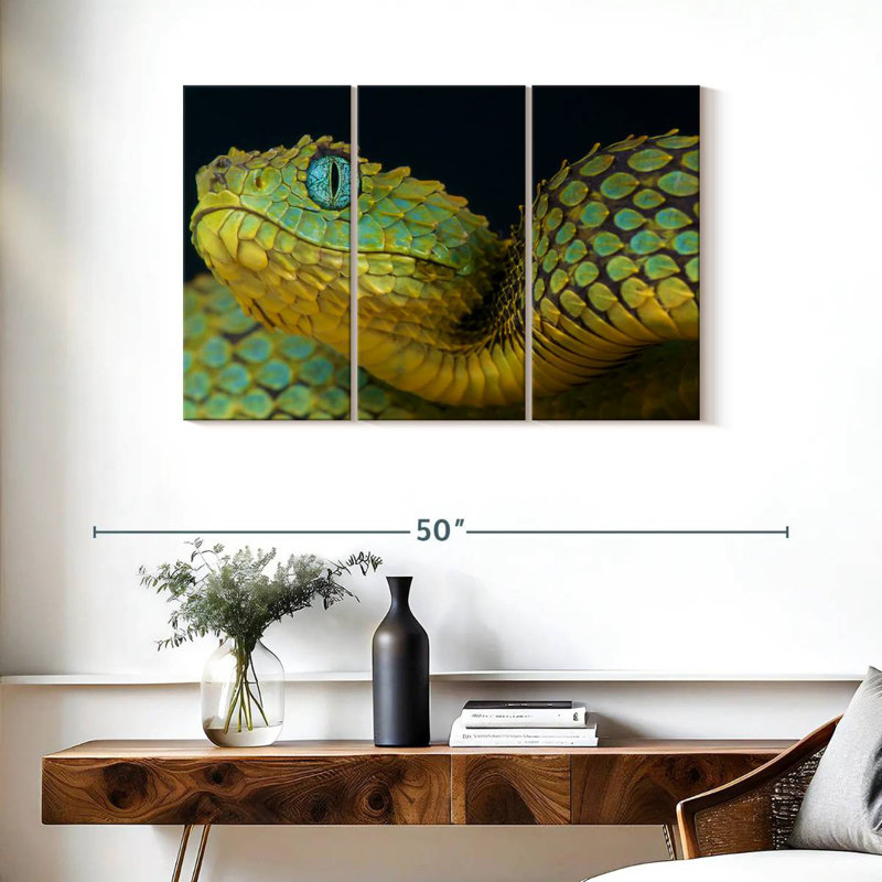 Brampt African Bush Viper, 24" H x 38" W