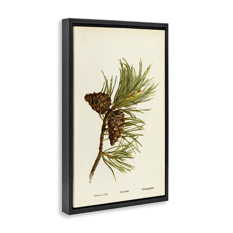  Toile conique de sapin par Tina Higgins Designs, Inc., H 25 po x l 17 po, Cadre flottant noir de jais