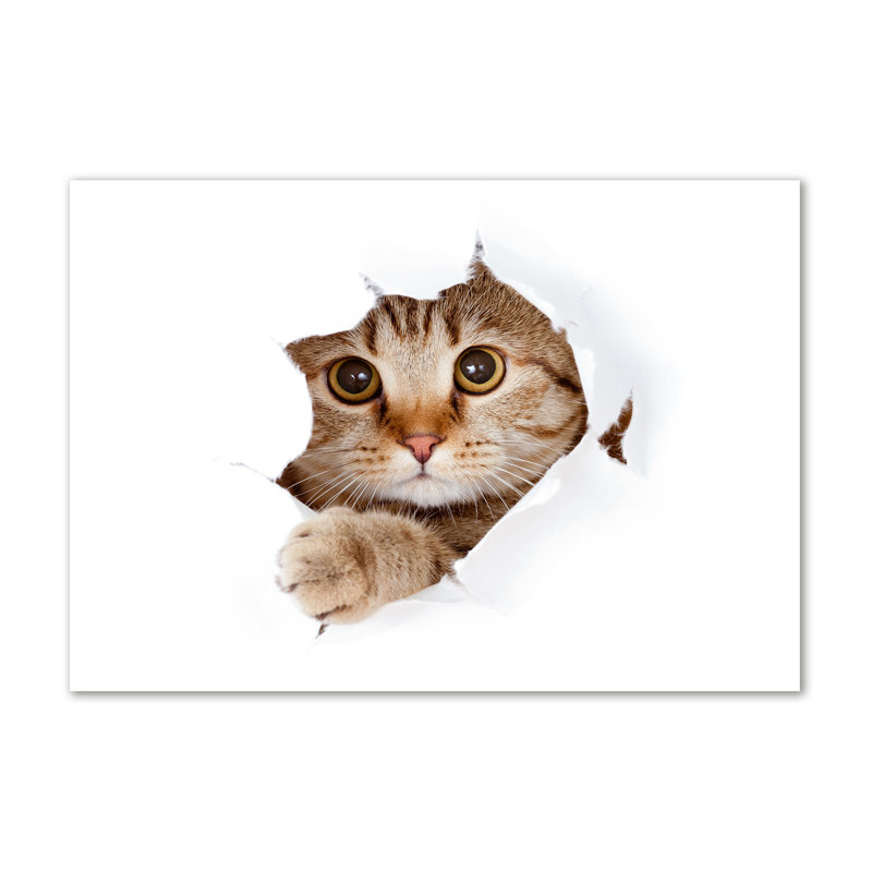 Cat - No Frame Print on Canvas