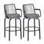 Modern Patio Bar Stools Set Of 2, Metal Rattan Chairs For Kitchen Patio
