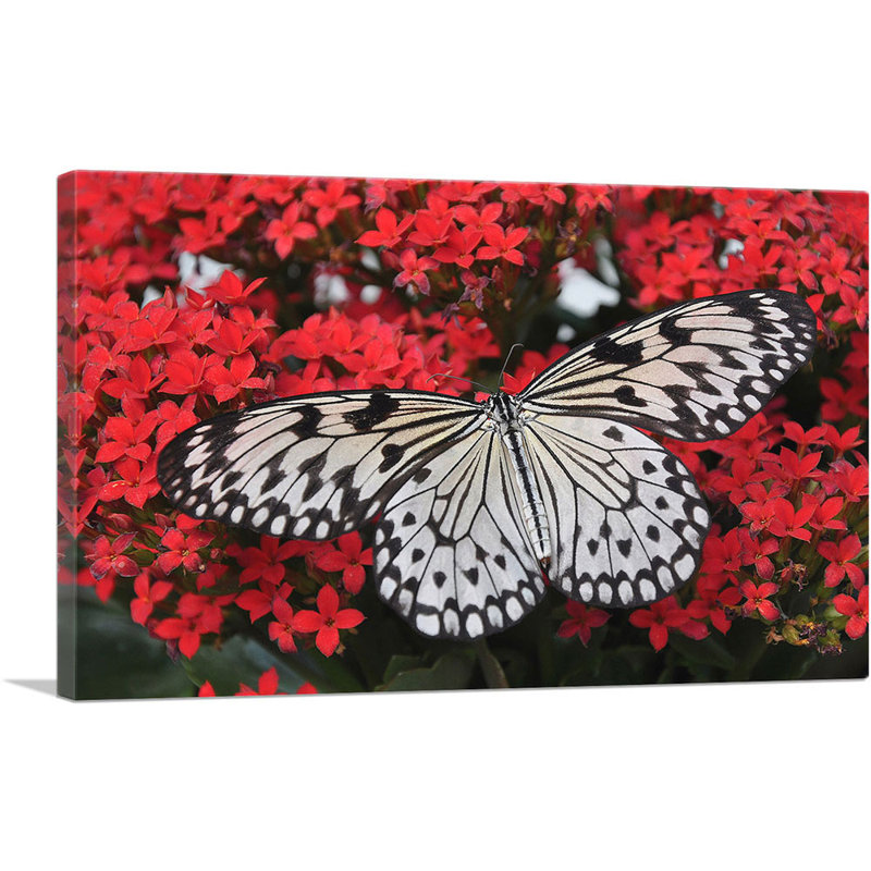 «Butterfly on Red Flowers Home Decor», reproduction de photo sur toile tendue, H 26 po x l 40 po x P 0,75 po
