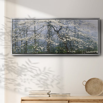Dogwood Canopy- Framed Canvas