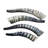 Blesbok Yemenite Shofar