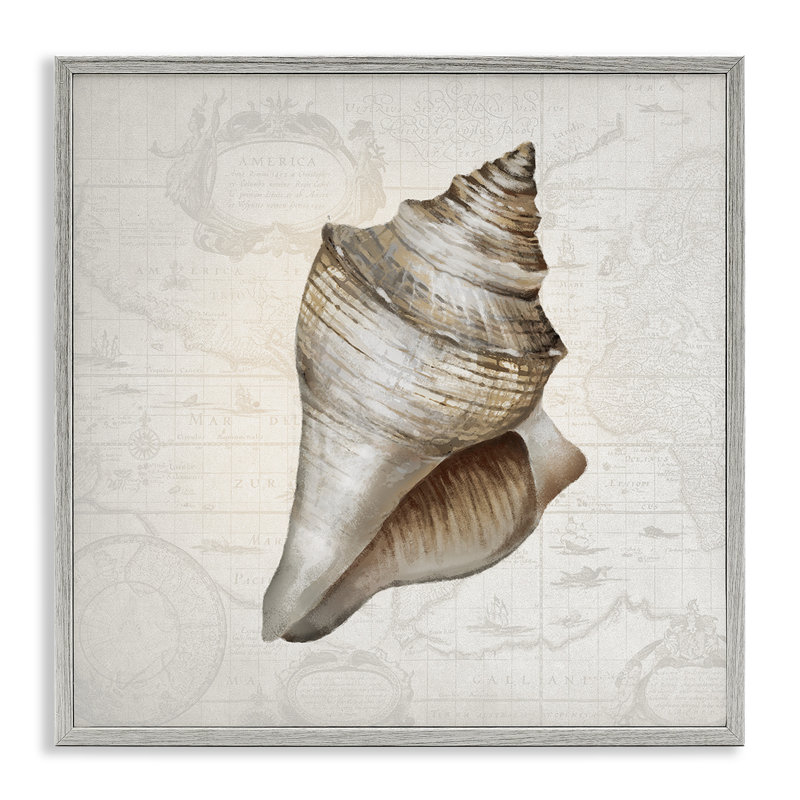 Conch Shell sur carte rétro, estampe numérique, conception par Conrad Knutsen, H 24 po x l 24 po, Estampe numérique Farmhouse