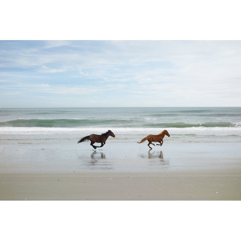 Two Wild Horses by Zimmytws - Wrapped Canvas Print, 61cm H x 91cm W