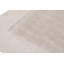Hand Knotted Area Rug in Beige