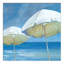 " Painted Beach Umbrellas "