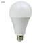 A60 Globe LED E27 12W Bulb 5PK-61471544