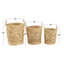 Seagrass Handmade Woven Decorative and Functional Storage Basket with Handles