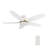 Smart DC Motor Ceiling Fan with LED Light, Remote control-2016644021-2074208054