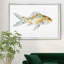 «Speckled Goldfish», impression sur toile encadrée-1882578199-1882578216