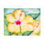 «Yellow Hibiscus» par Deborah Eve Alastra, impression sur toile non encadrée-534487824