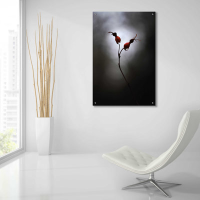 «Rose Hips» par Thomas Haney