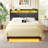 Storage Bed with USB Charging & LED Lights - Upholstered Wingback Design & Metal Frame Includes Headboard-575976583-575976580