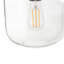 Veedersburg Glass Semi Flush Mount