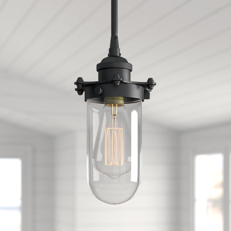 Luminaire suspendu à 1 lumière Calixta, Noir mat, Transparent, Ampoule non incluse