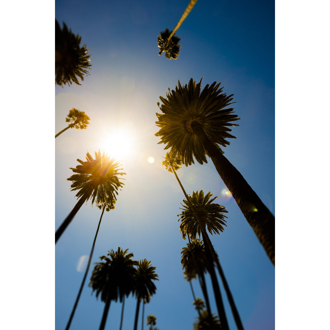 Beverly Hills Palm Trees von LPETTET - Kunstdrucke