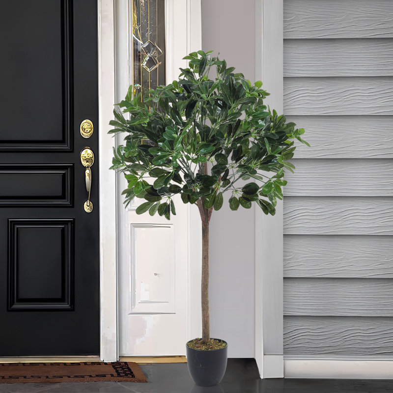Burkitt 122cm Plant: Lifelike & Zero Maintenance