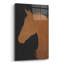  «Equine 3 Industrial» par James Wiens, art mural en verre acrylique, 12 po x 16 po