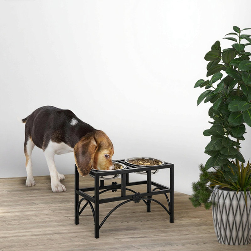 Station d'alimentation double pour animaux en acier inoxydable