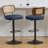 Adjustable Height 360° Swivel Bar Stools With Rattan Back-913062239