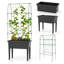 Elevated Planter