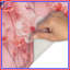 Tapis de bain Pink Cherry Blossoms-598276500