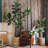 Faux Fiddle Leaf Fig Tree in Resin and Plastic Pot-345646495