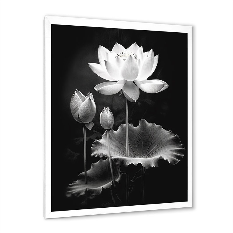 Symphonie de lotus gris gris I, Cadre simple blanc, H 40 po x l 30 po x P 1,5 po