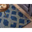 Lavaca Geometric Viscose Hand Woven Area Rug-1418083916