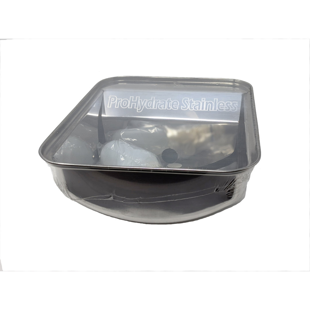 Stainless Steel Automatic Water Dish RPI Pet