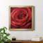 Solo Solo - photographie sur toile encadrée-96482044-96482039