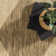 Cape Trellis Indoor/Outdoor Area Rug
