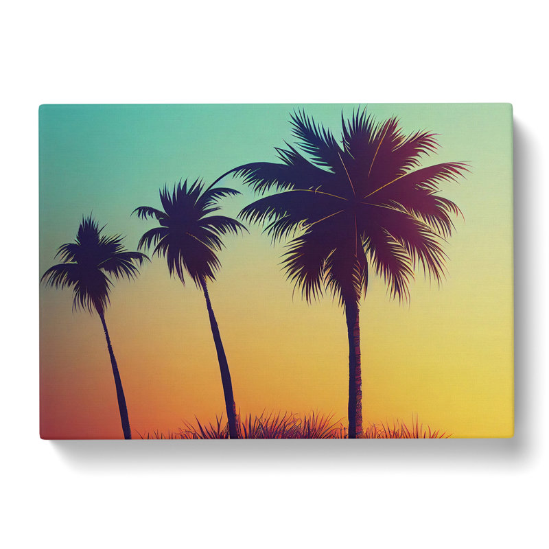 Fine Palm Trees - Wrapped Canvas, 35cm H x 50cm W x 3cm D