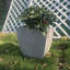 Jardinières en pot-420575516
