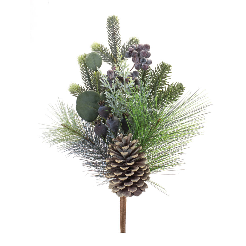 Pin et eucalyptus (ensemble de 2)