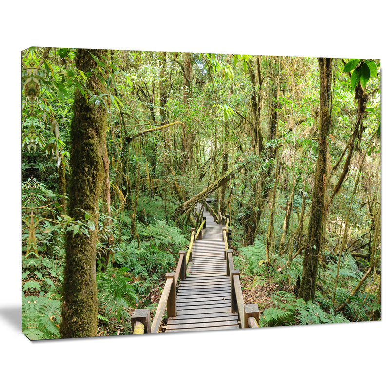 Walk Way in Deep Forest - Reproduction de photo sur toile tendue, H 30 po x l 40 po x P 1 po